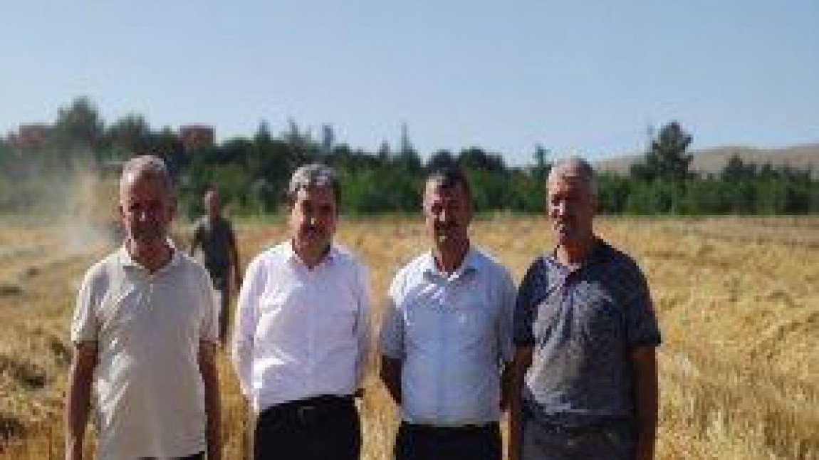  İl Millî Eğitim Müdürümüz Mehmet Türkmen, Gökhöyük Şehit Cemalettin Özdemir Mesleki ve Teknik Anadolu Lisesinde gerçekleştirilen buğday hasadına katıldı.